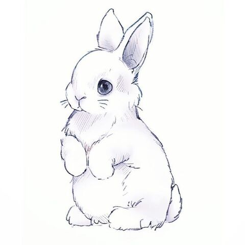 OnlyFans header picture abbunny