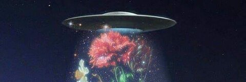 صورة رأس OnlyFans achiiinana