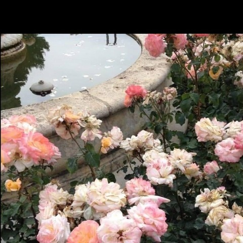 Image d'en-tête OnlyFans advaa