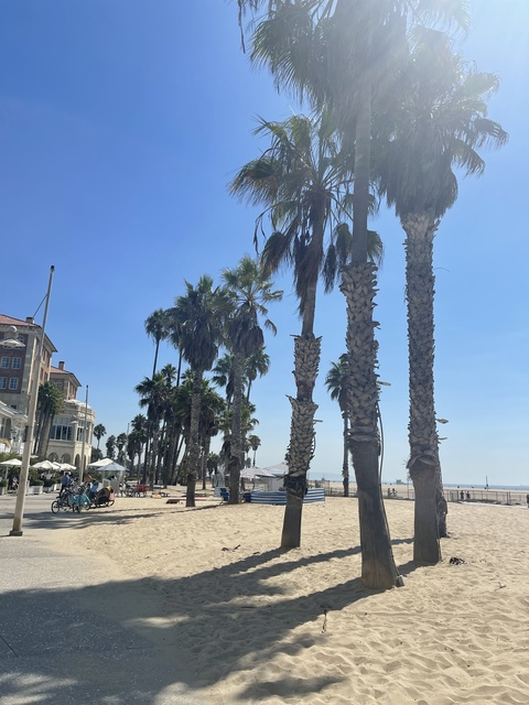 OnlyFans Titelbild adventureswithwynter