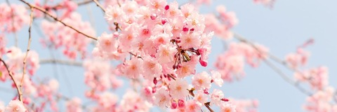 Снимка на заглавието на OnlyFans aimeemay