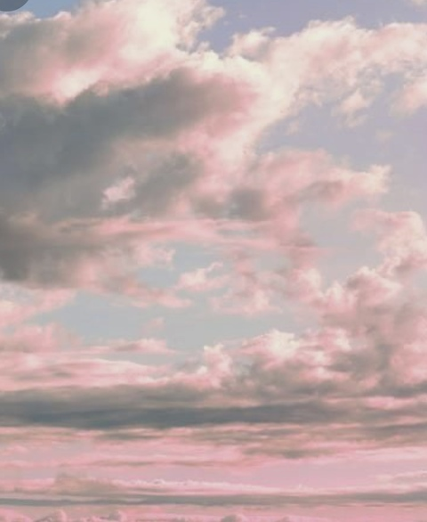 Gambar header OnlyFans alaskabombshell