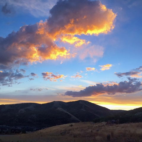 Image d'en-tête OnlyFans alex_mecum