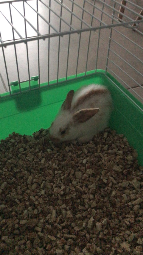 Obraz nagłówkowy OnlyFans #nazwa_użytkownika#