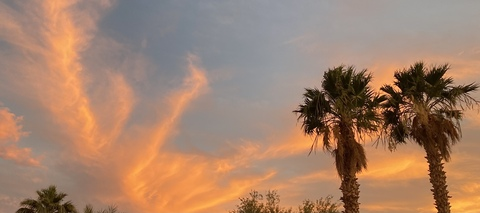 Imagem do cabeçalho do OnlyFans alexandrabiancaaa