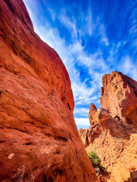 Image d'en-tête OnlyFans alexxxomega