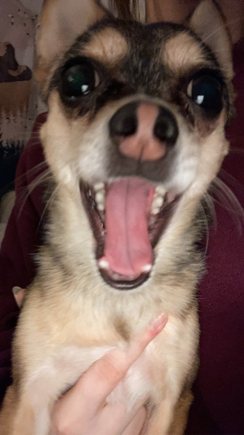 OnlyFans başlık resmi alicekay