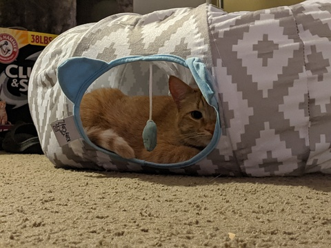 Gambar header OnlyFans allycakes_12