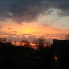 Profielfoto van OnlyFans alt_kitten