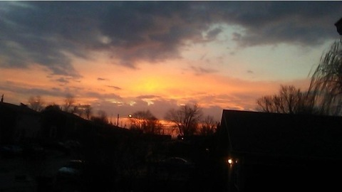 AlleenFans hoofdafbeelding alt_kitten