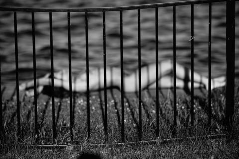 alyciacarpenter의 OnlyFans 해더 사진