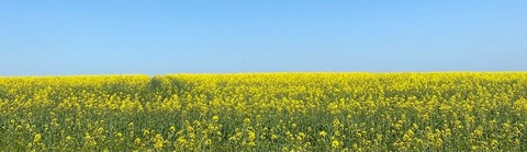 OnlyFansのヘッダー画像 amarita_franchetti