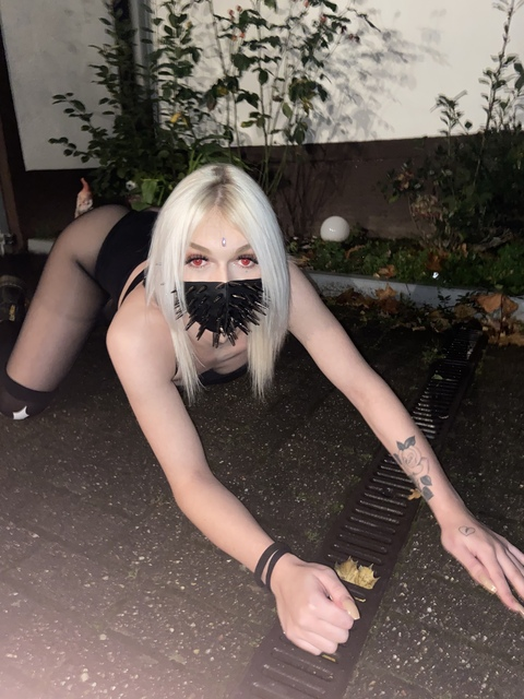 Снимка на заглавието на OnlyFans amy_ko99