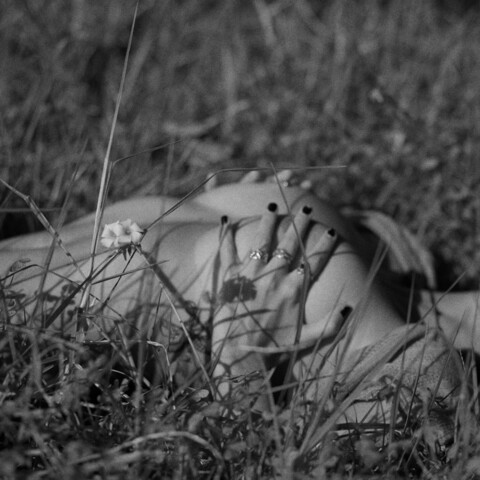 Obraz nagłówkowy OnlyFans #nazwa_użytkownika#