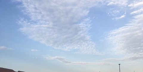 ओनलीफैंस हेडर चित्र angelbchloe