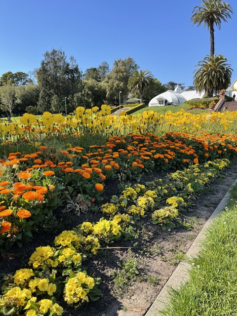 OnlyFans Titelbild angelllll13