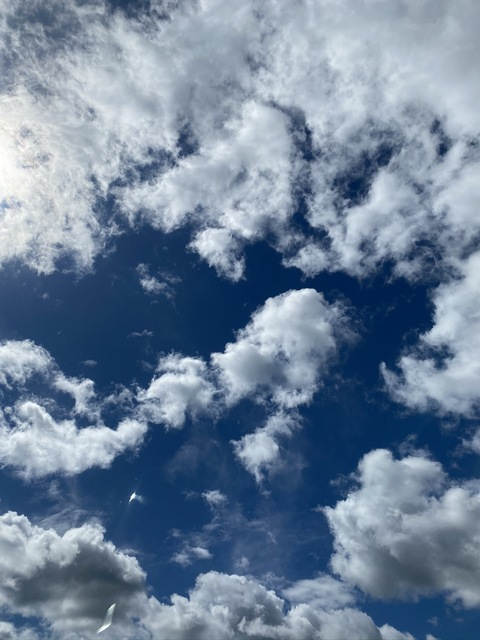 Снимка на заглавието на OnlyFans aryn.winters