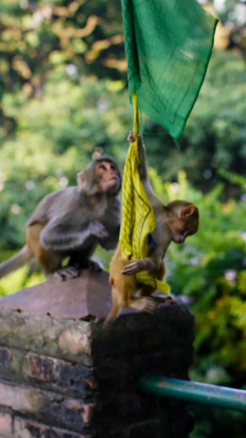 Изображение шапки OnlyFans as12604