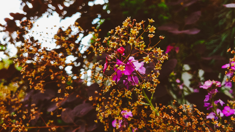 atinycosmo의 OnlyFans 해더 사진