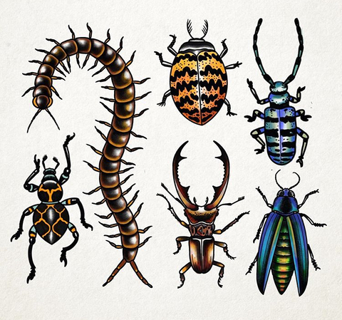 Imagen del encabezado de OnlyFans de ativanscript