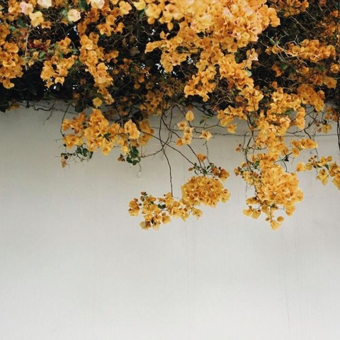 OnlyFansのヘッダー画像 babycrx