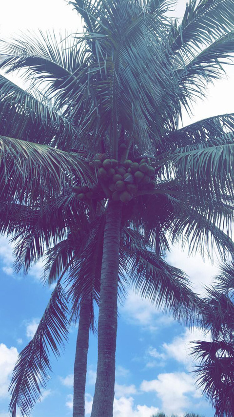 Снимка на заглавието на OnlyFans badrice2121