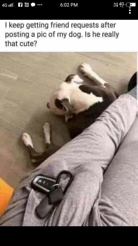 OnlyFansのヘッダー画像 bandagumnami