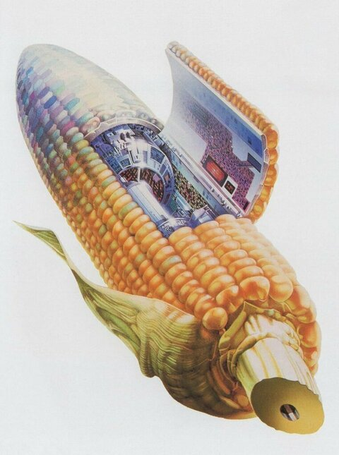 Снимка на заглавието на OnlyFans banjo_xxl