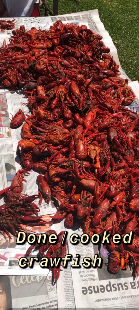 Obraz nagłówkowy OnlyFans #nazwa_użytkownika#