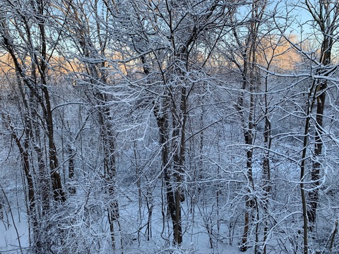 Image d'en-tête OnlyFans bearr