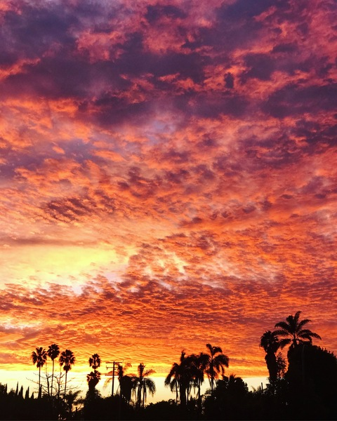 Imagen del encabezado de OnlyFans de bellahstoes