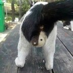 Profielfoto van OnlyFans billbrwnbrwn