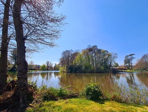 Image d'en-tête OnlyFans bitingthedust3