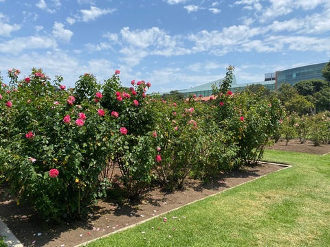 Image d'en-tête OnlyFans blakeblossomxxx