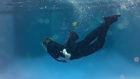 Imagen del encabezado de OnlyFans de blaketaylor615