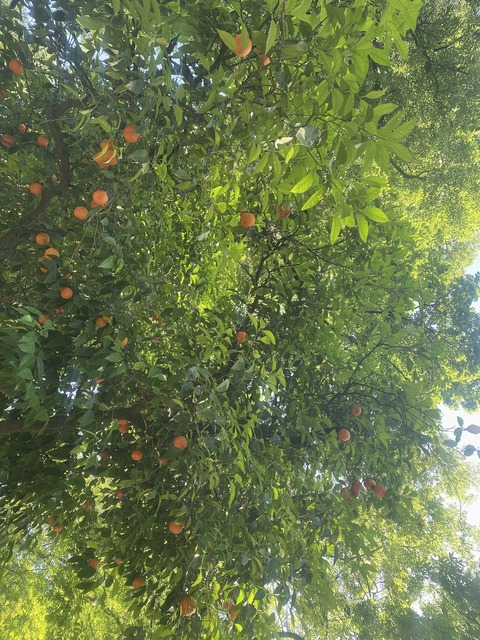 Image d'en-tête OnlyFans blinkx