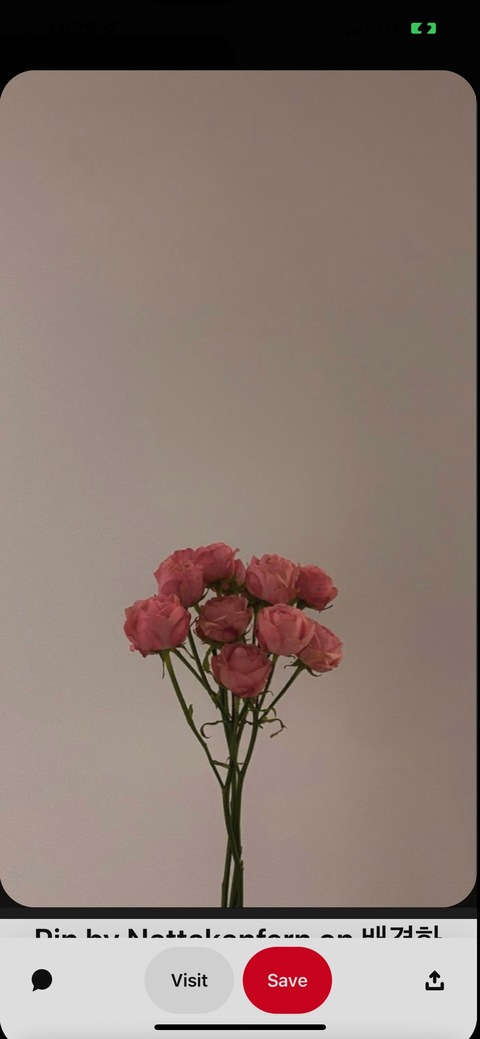 boricua0022의 OnlyFans 해더 사진