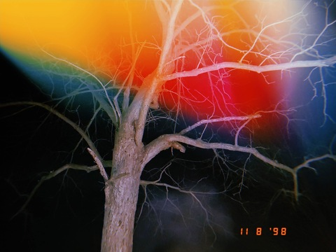 OnlyFans Titelbild breacadh.an.lae.fiain