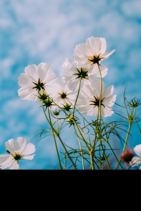 Снимка на заглавието на OnlyFans briiibabbyyy