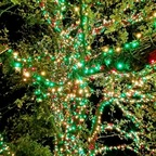 Profielfoto van OnlyFans brokengrl