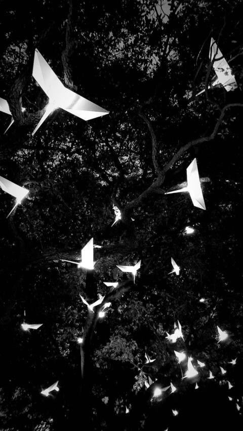 Снимка на заглавието на OnlyFans bunnybutt17