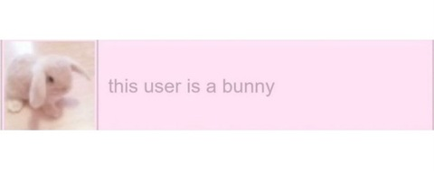 Снимка на заглавието на OnlyFans bunnyloverx