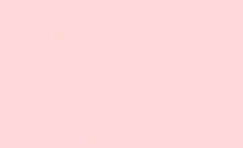 OnlyFansのヘッダー画像 bunnywifey