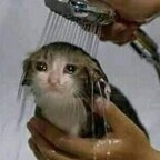 SadeceFans profil resmi buttholeblunder