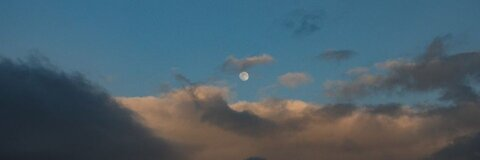 ओनलीफैंस हेडर चित्र buzzy980528_2