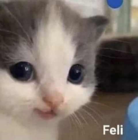 camicamcc의 OnlyFans 해더 사진