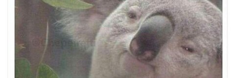 Снимка на заглавието на OnlyFans camilapereyra