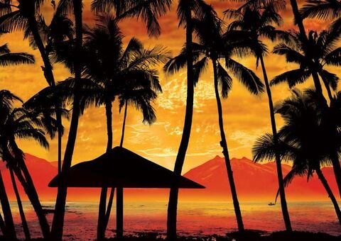 carolina.lassnibatt의 OnlyFans 해더 사진