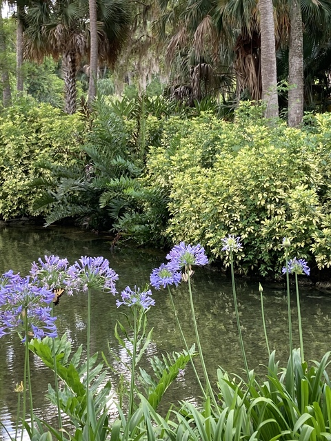 AlleenFans hoofdafbeelding carolyn_kes