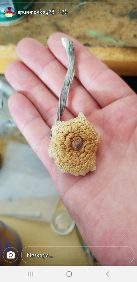 Изображение шапки OnlyFans cavediddy23